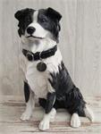 Border Collie, Duitse Herder, Golden Retriever.