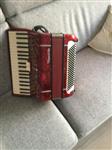 Accordion  120 bassen