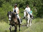 Paardrijden in Andalusie. Holandaluz
