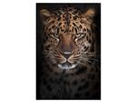 Glasschilderij Luipaard | 935