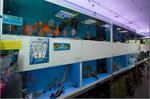 DiscusCompleet Aquaria & Hengelsport Zaanstad