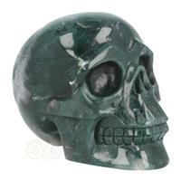 Mosagaat schedel Nr 269 - 1337 gram
