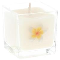 Geurkaars Koolzaadwas Eco Nag Champa in glas