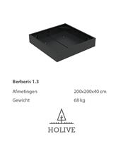 Berberis 1.3 Vierkante Aluminum plantenbak 200x200x40 cm. Leverbaar in vele kleuren!