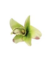 Collectif, Orchid Pinup Hairclip in Green.