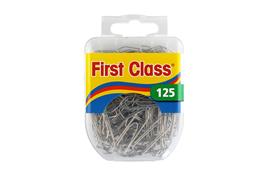 Paperclips (125) - metaal