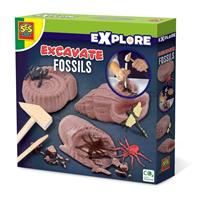Explore - Fossielen opgraven
