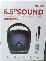 bleutooth speaker 6,5sound disco led incl microfoon
