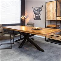Eettafel Denver 200 cm | Rechthoek | Matrixpoot