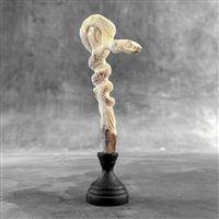 Snijwerk, NO RESERVE PRICE - A Snake carving from a deer antler on a stand - 20 cm - Hout, Hertengew