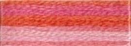 DMC Colour variations 4190 borduurgaren
