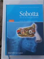 Sobotta atlas van de menselijke anatomie.