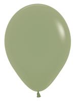 Ballonnen Eucalyptus 30cm 50st