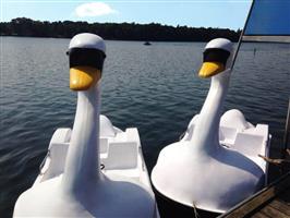 Zwaan Aquaparx nieuwe waterfiets — Zwaan waterfiets transport klaar met losse nek