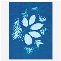Solar cyanotype fotopapier 10 vel 28x21,5cm