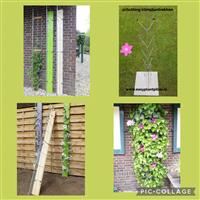 Plantrekken verticale tuin  klimplanten klimrek