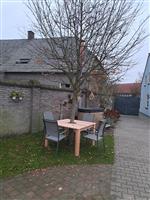 tuintafel om boom DOUGLAS HOUT