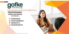 Goedkope Divi WordPress Website vanaf €149,99