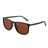 Gepolariseerde zonnebril Unisex - Driving Shades Vintage Klassieke reisbril UV400