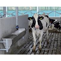 Drinkbak RVS Spinder Classic, muurbevestiging model 150