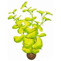 Easy Plant 5 & 10 Zijde
