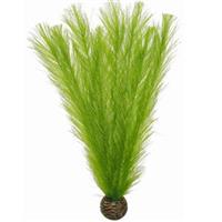 Easy Plant 11 & 16 Zijde