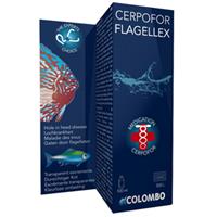 Flagellex