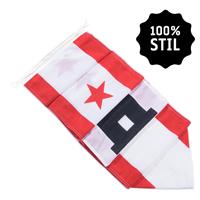 NR 411: Wimpel Drenthe 100% stil-300cm (zonder stokje (met lus-lus))