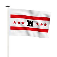 NR 202: Vlag Drenthe 100x150cm premium