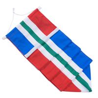 NR 460: Wimpel Groningen-400cm met stokje