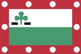 Vlag Meppel 300x450 cm