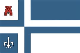 Vlag Noordoostpolder 300x450 cm