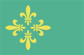 Vlag Midden-Drenthe 300x450 cm