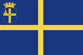Vlag Oldenzaal 300x450 cm