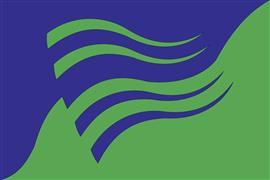 Vlag Olst-Wijhe 300x450 cm