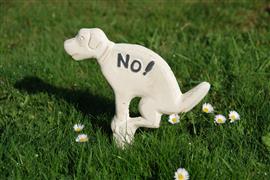 Hondenbordje: NO, hier niet poepen, gietijzer, wit HB14