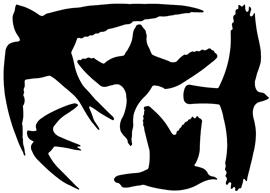 Raamstickers vogels, zwart   FB9