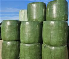Luzerne silage balen, gesneden ruwvoer in ronde wikkelbalen, oogst juni 2024