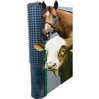 Paarden en koeien krabmat (incl. bevestigingsstrip)
