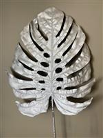 Groot zilver blad - Monstera blad - Gatenplant blad -