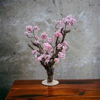 Kunstboom – bloesemboom - Sakura Sfeer - 75cm - op echt hout -
