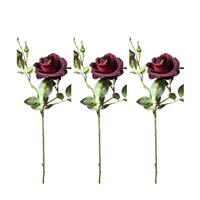 Combi deal - Rode roos - 3 stuks - 60 cm