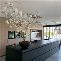 Bloesemboom - sterk vertakt - 125 -150cm - wit -