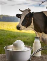Boerderij-IJs Concept: 5 Geheimen voor Succes