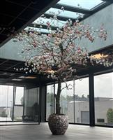 Kunst Bloesemboom - Kunstboom - 350cm - roze/creme roze - Voor binnen