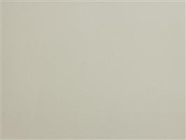 Wandbekleding Viva Guard