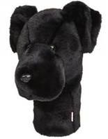 Black Labrador