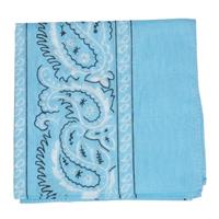 Bandana in Baby Blue.