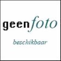 G.W.G. van Bree e.a. - Roermond in beweging