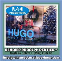  lapland aankleding rendier figuren groningen